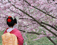 Imagen - Japón, Templos y Tradiciones Milenarias