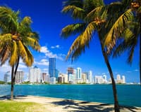 Image - Beach holiday in Miami, United States of America - May 2026