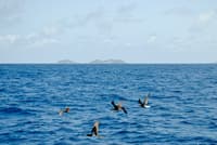 Image -  15 Days Caribbean Splendor