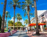 Image -  Orlando to Key West, Florida Road Trip, Spring 2026