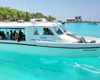 Trasferimento da Male Intl (MLE) a Baros Maldives