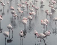 Immagine - Mete imperdibili della Namibia