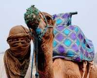 Immagine - Viaggio in Marocco: Itinerario di 8 Giorni