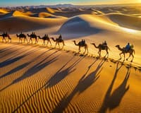 Immagine - Marocco Autentico: Dalle Città Imperiali al Deserto