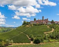 Immagine - Weekend in the langhe with winery visit