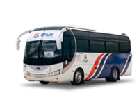 Transfer de Punta Cana Intl (PUJ) a Catalonia Punta Cana - All Inclusive