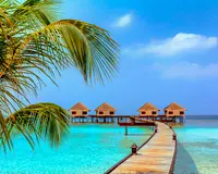 Image 141: Dubai and Maldives