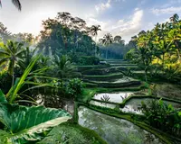 Explore Bali & Lombok - August 2025 