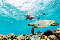 Island Hopping Madagascar, Reunion & Mauritius - September