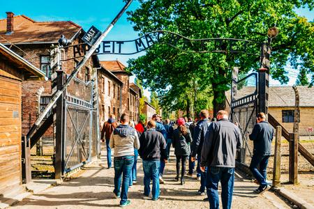 Auschwitz Birkenau and Wieliczka Salt Mine Tour with Pickup