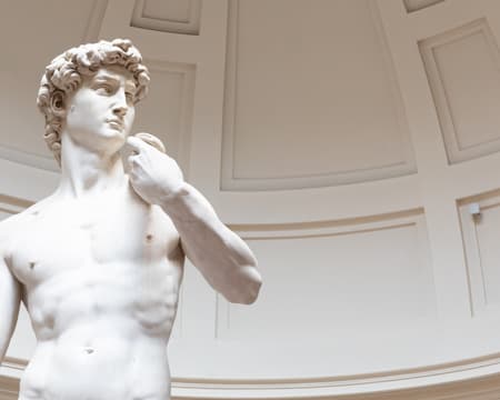 Salta la coda: tour guidato della Galleria dell'Accademia a Firenze