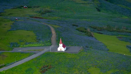 Tour to South Coast in Small-Group with Pick-Up