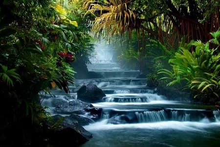 Tour to Arenal Volcano and Tabacón Hot Springs with Pick-up
