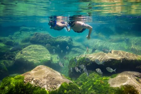 Passeio Guiado a Tulum, Cenote Mágico, Mergulho com Snorkel na Lagoa e Almoço à Beira-mar em Grupo Pequeno com Recolha