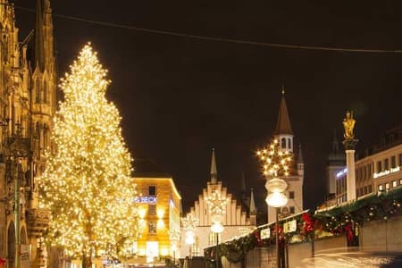 Munich Christmas Market Private Walking Tour