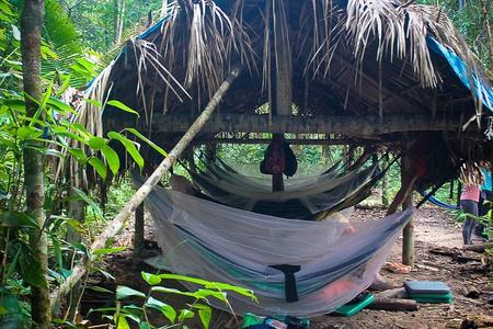 Amazon Survival Tour with Lunch, Dinner and Pick up 4D/3N