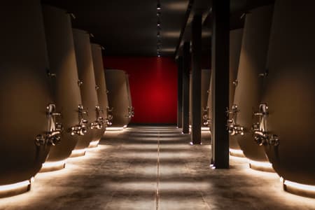 Visita Guidata in Cantina e Degustazione di Vini in Valpolicella in Piccolo Gruppo