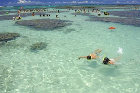 Excursión Playa de Maragogi y Recife de Gales en Grupo Reducido con Recogida