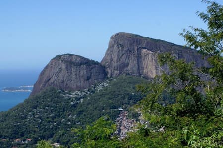 Tour en Jeep por la Selva Tropical y Jardín Botánico con Pick-up