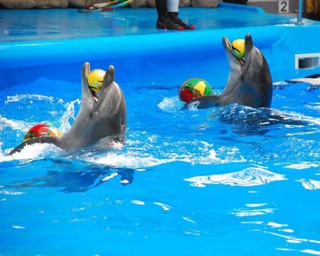 Dolphin Bay Phuket - Private