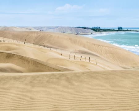 DIVERSIÓN EN CUATRIMOTOS EN LAS DUNAS Y PLAYAS DE CHACHALACAS (CVU)