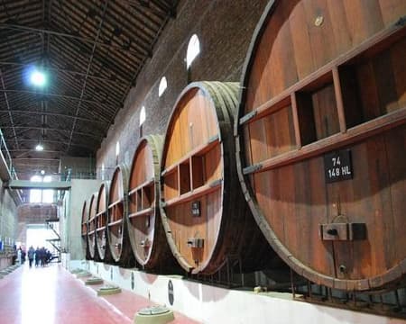 Jesuitas & Vinos