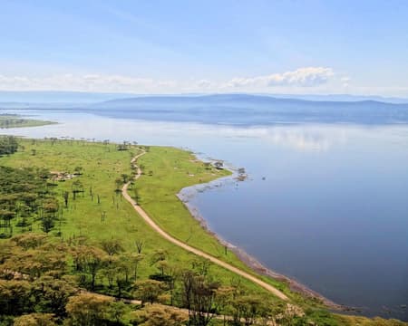 Game Drive in Maasai Mara National Reserve (Safari Vehicle + Park Fees)