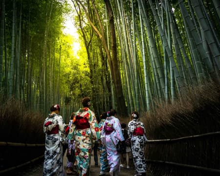 ARASHIYAMA - BAMBOO  FOREST