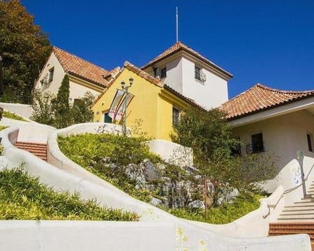 Nami Island Escape and Namiseom Adventure (Small Group Tour)