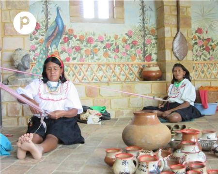 Lamas Nativo y Cultural