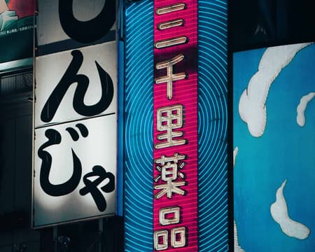 LUCI E NEON DI SHINJUKU & SHIBUYA