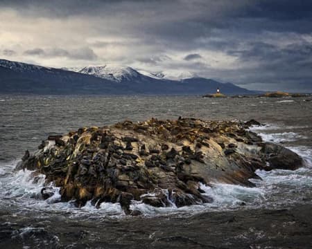 Isla Lobos e Isla Pájaros