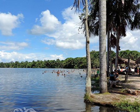 Tour de medio día Parque Zoológico de Quistococha