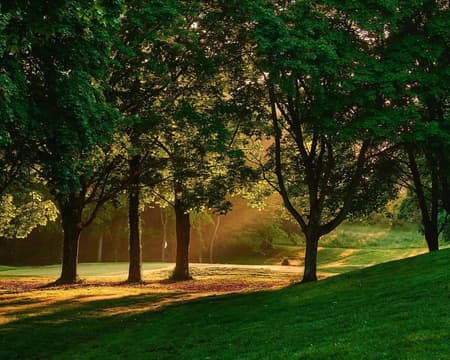 Golf d’Ormesson