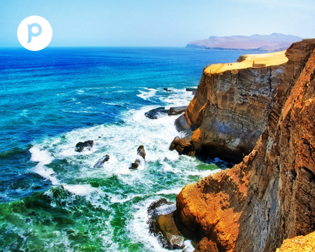 Full Day Ballestas Islands and Paracas National Reserve from Lima