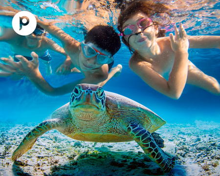 Paseo Costero y Nadando con Tortugas en Máncora