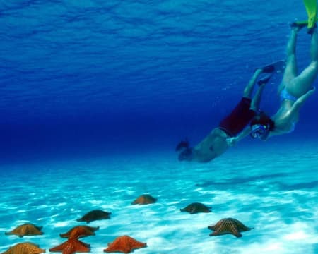 TOUR HOLBOX FERRY + PUNTA MOSQUITO CANCÚN CON TRANSPORTACIÓN (CVU)