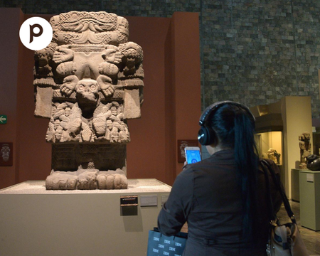 Visit of the City and Museum of Anthropology and History