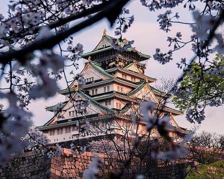Full Day Osaka Tour with a Multilingual Guide by Public Transportation (Private)