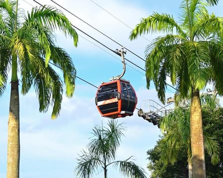 Discover Singapore - Sightseeing Combo