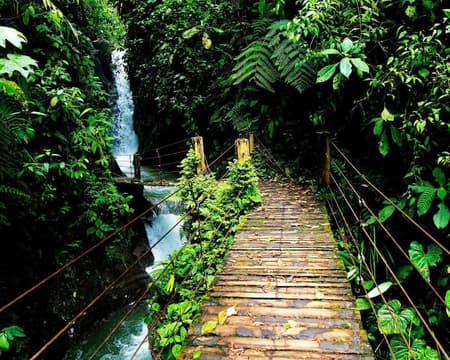 Tour to the cloudforest of Mindo