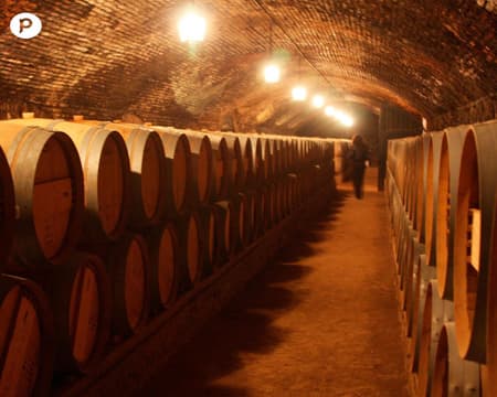  Viñedos del Maipo - Viña Concha y Toro (premiun)