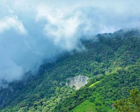 Trekking in Knuckles Range 