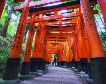 Ganztägige Kyoto-Tour mit mehrsprachigem Reiseleiter mit öffentlichen Verkehrsmitteln (privat)