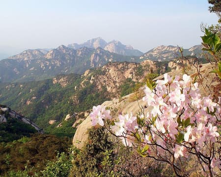 Half Day Treking at  Bukhansan Mountain (Private)