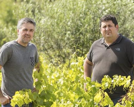 Wine Identity: La nueva Navarra, enraizada