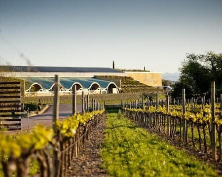 Cata vertical: Celler Batlle Gramona