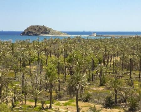 Fujairah & Khor Fakkan Tour en español 8 horas