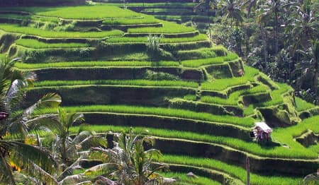 Bali Easy Ausflugspaket (3 oder 5 Touren)