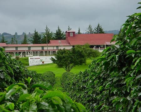 "Doka Estate Kaffeetour" Halbtagesausflug